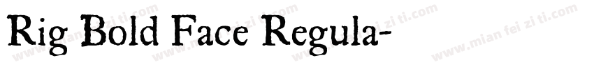 Rig Bold Face Regula字体转换